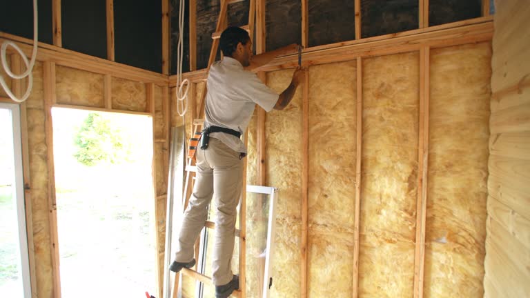 Best Attic Insulation Installation  in Hoisington, KS